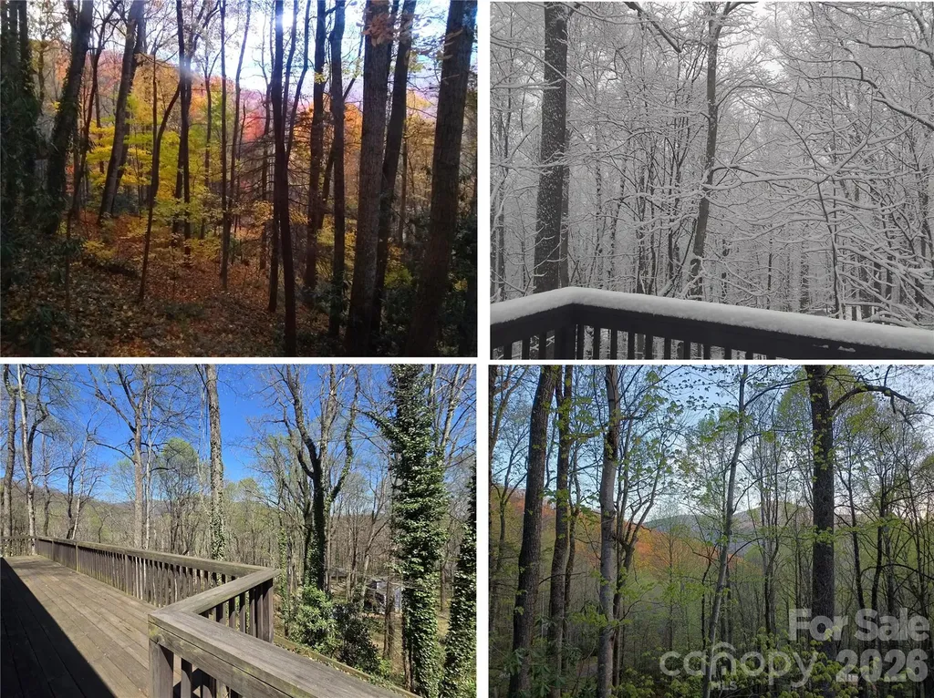 662 Locust Drive Maggie Valley NC 28751