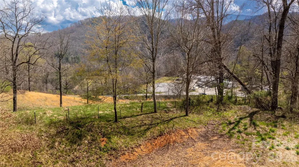 90 Last Coyote Trail Canton NC 28716