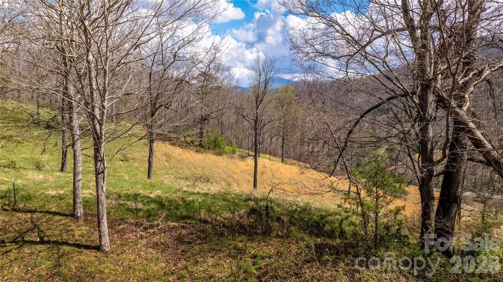 90 Last Coyote Trail Canton NC 28716