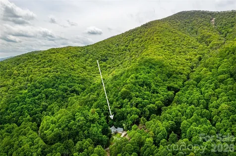 58 Great Aspen Way Black Mountain NC 28711