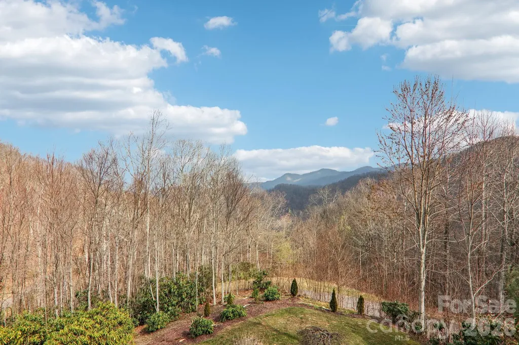 14 Chandra Lane Clyde NC 28721