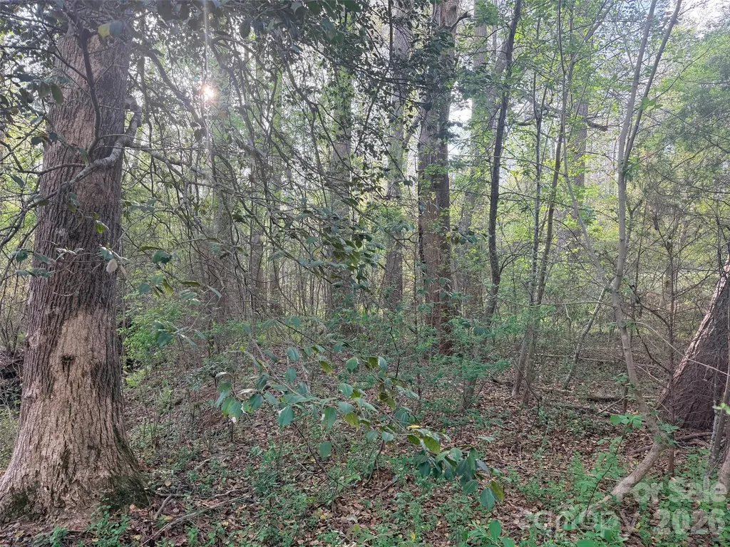 0 Old Stonecutter Road Rutherfordton NC 28139