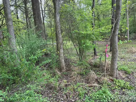 1 Miller Pond Road Rock Hill SC 29732