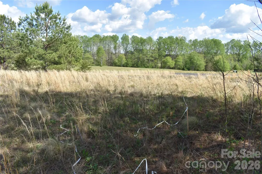 00 Malden Court Crouse NC 28033