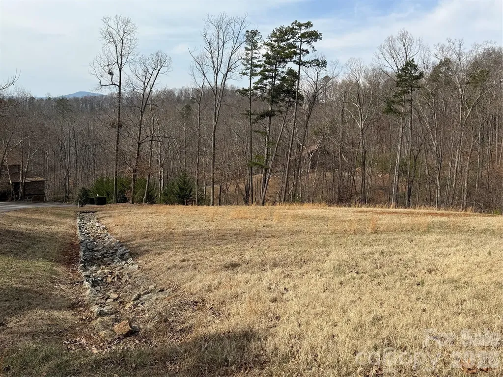 Lot 236 Rock Ledge Drive Lake Lure NC 28746