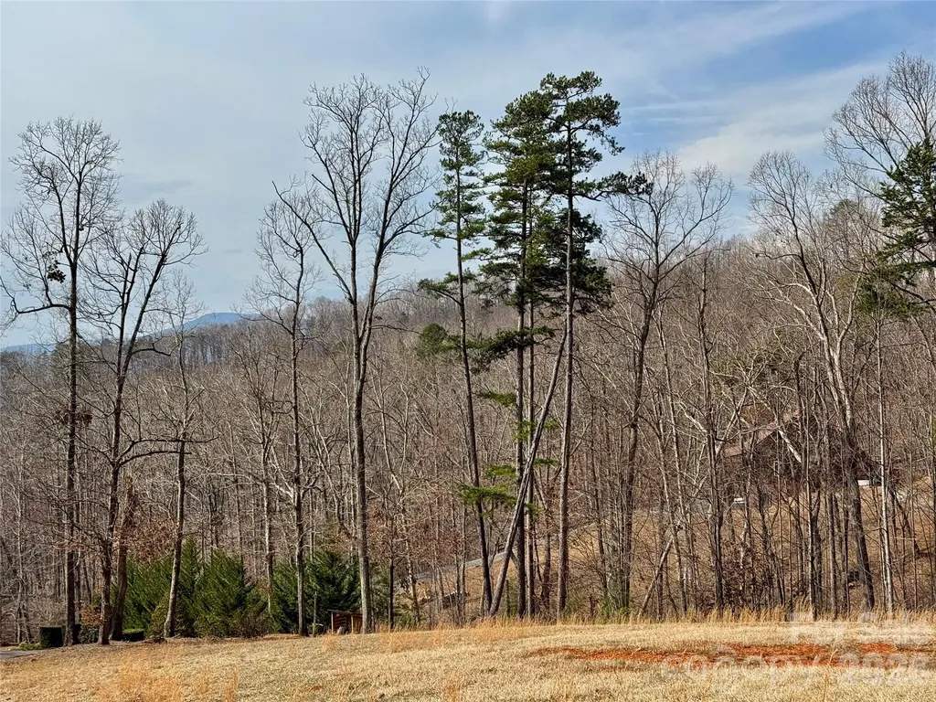 Lot 236 Rock Ledge Drive Lake Lure NC 28746