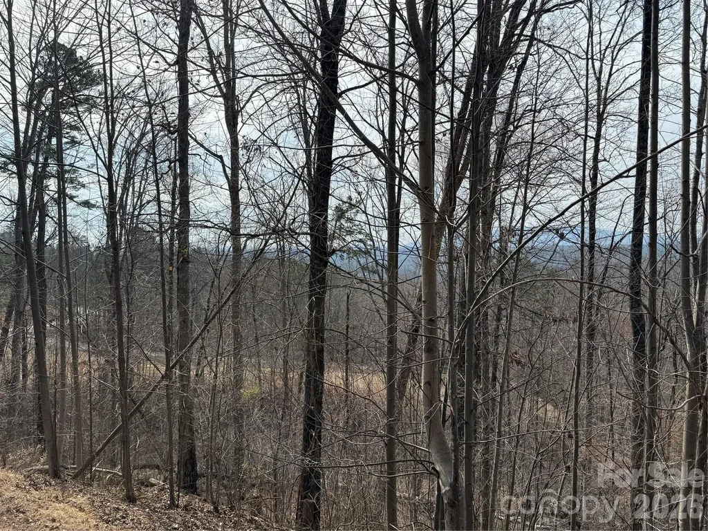 Lot 236 Rock Ledge Drive Lake Lure NC 28746