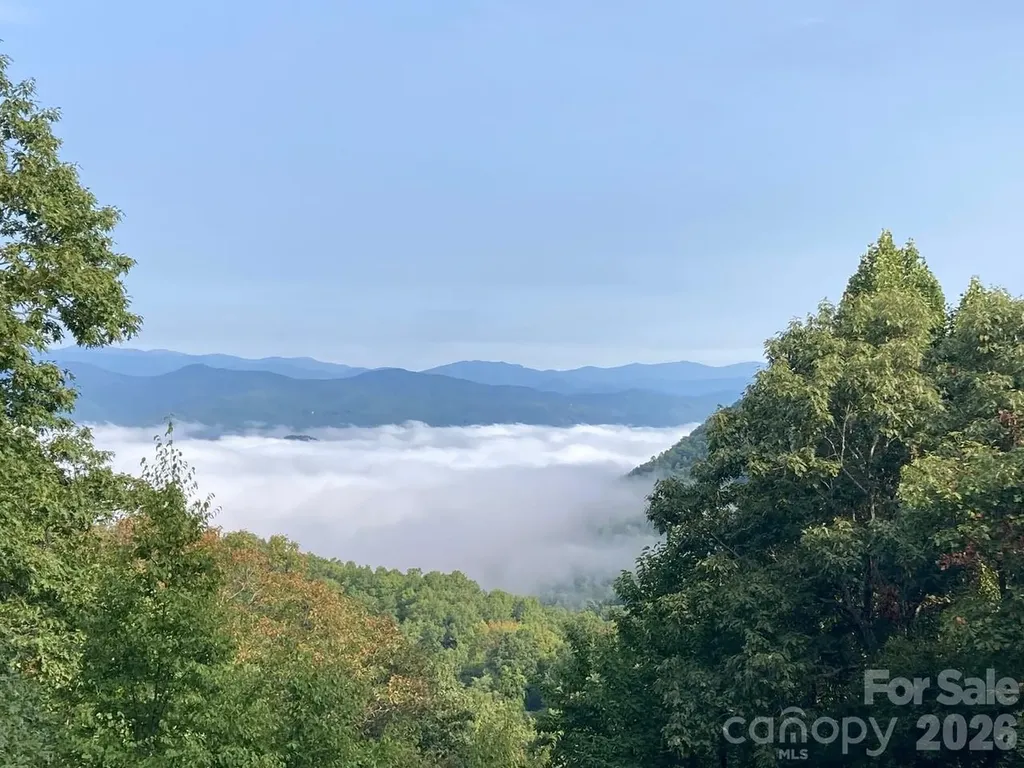 216 Tinequa Drive Brevard NC 28712