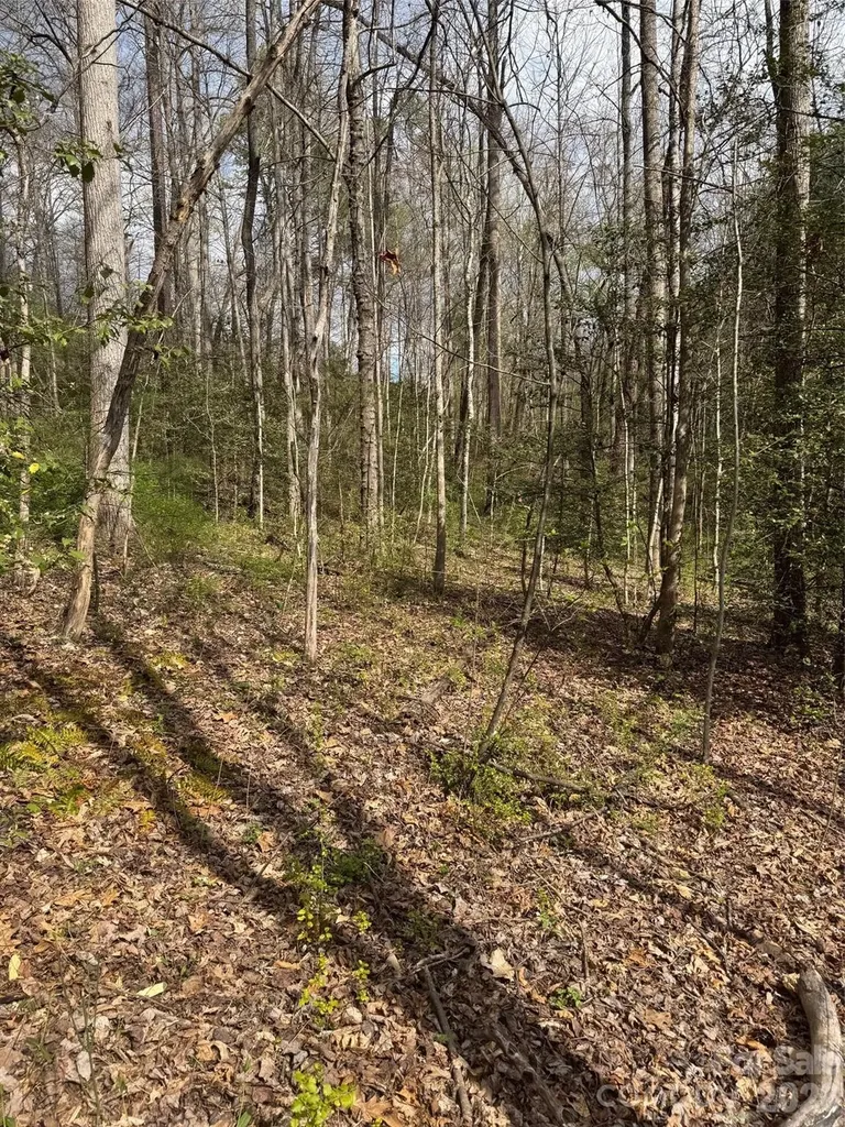 315 N River Road Sylva NC 28779