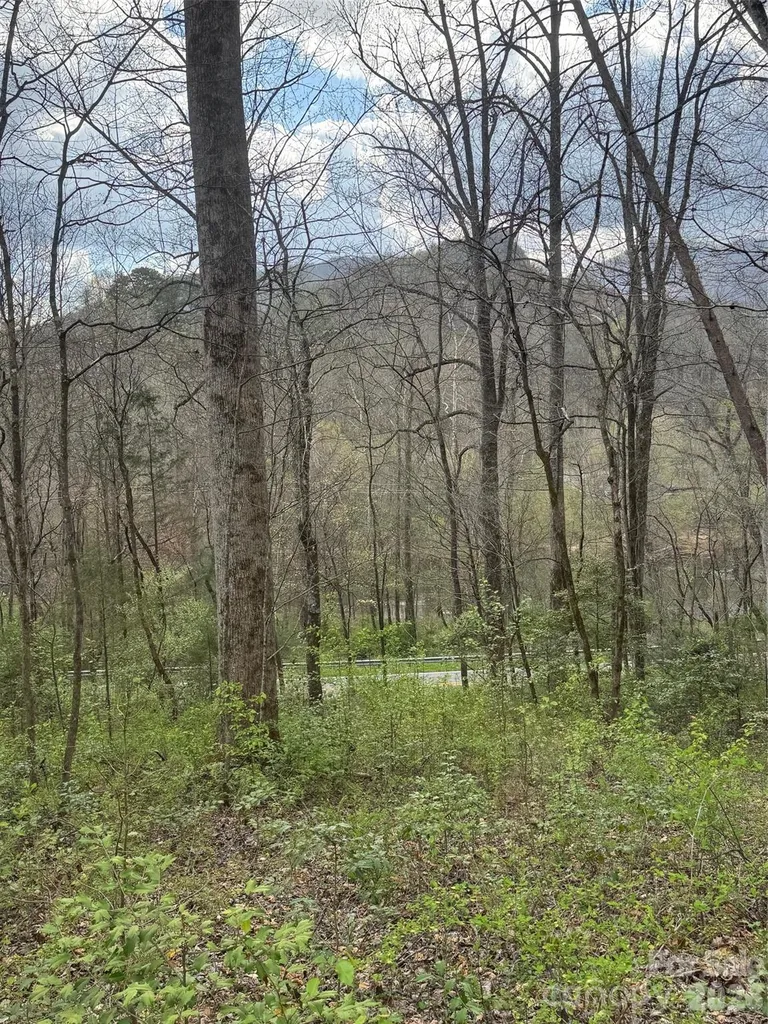 315 N River Road Sylva NC 28779