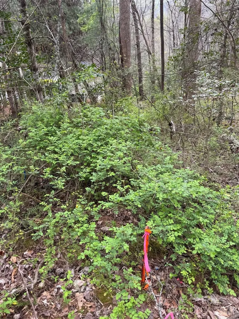 315 N River Road Sylva NC 28779