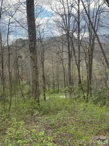 315 N River Road Sylva NC 28779