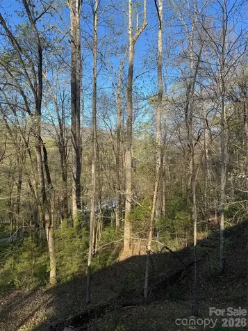 315 N River Road Sylva NC 28779