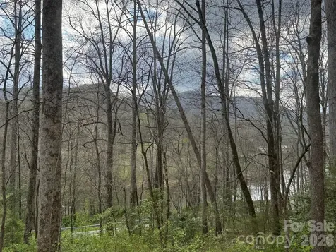 315 N River Road Sylva NC 28779