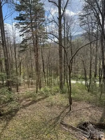 315 N River Road Sylva NC 28779