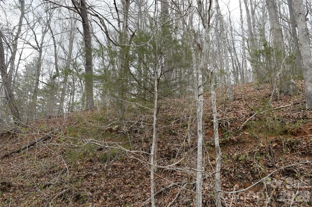 Tbd Bel Air Road Cullowhee NC 28723