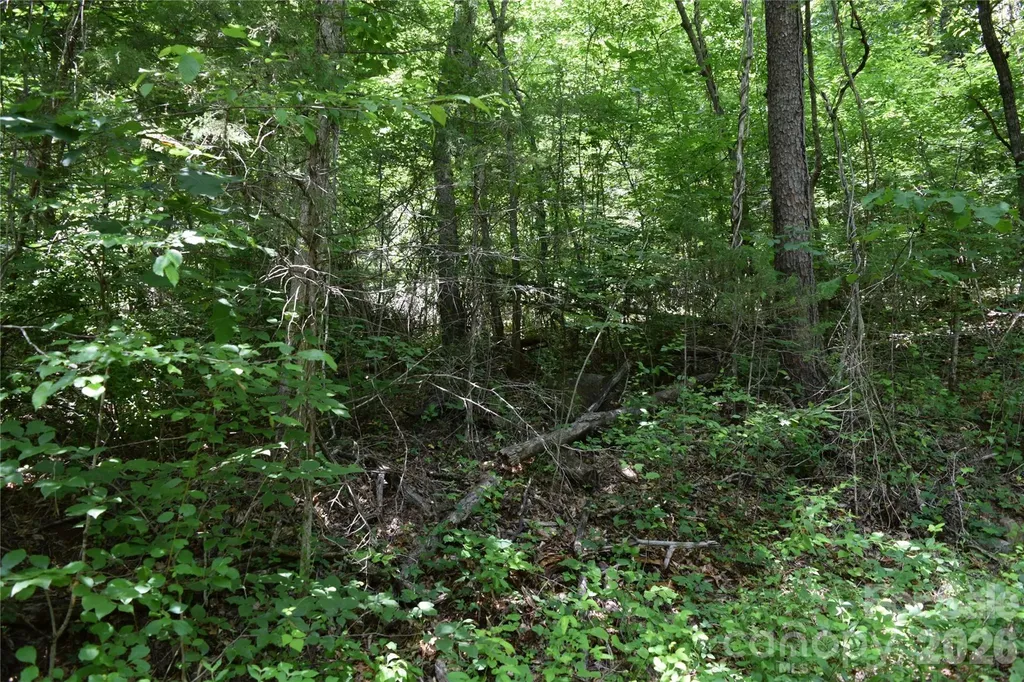Tbd Bel Air Road Cullowhee NC 28723