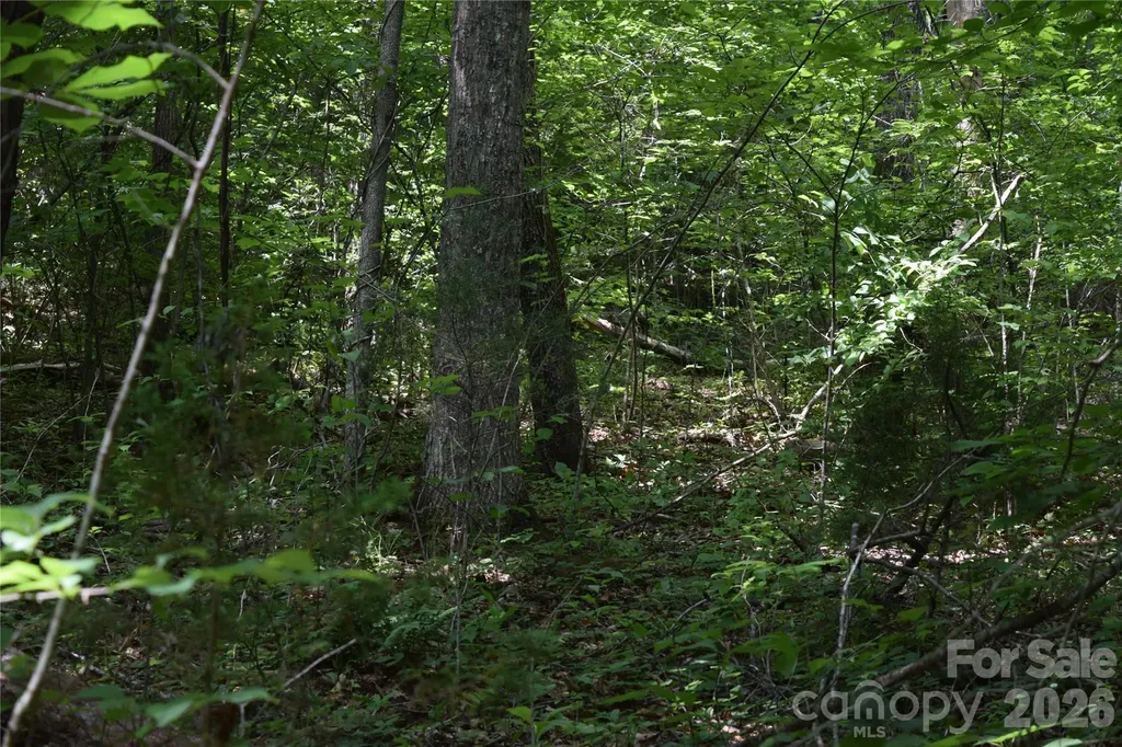 Tbd Bel Air Road Cullowhee NC 28723