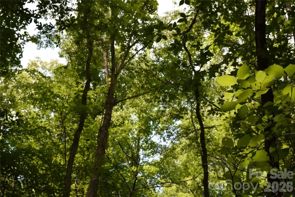 Tbd Bel Air Road Cullowhee NC 28723