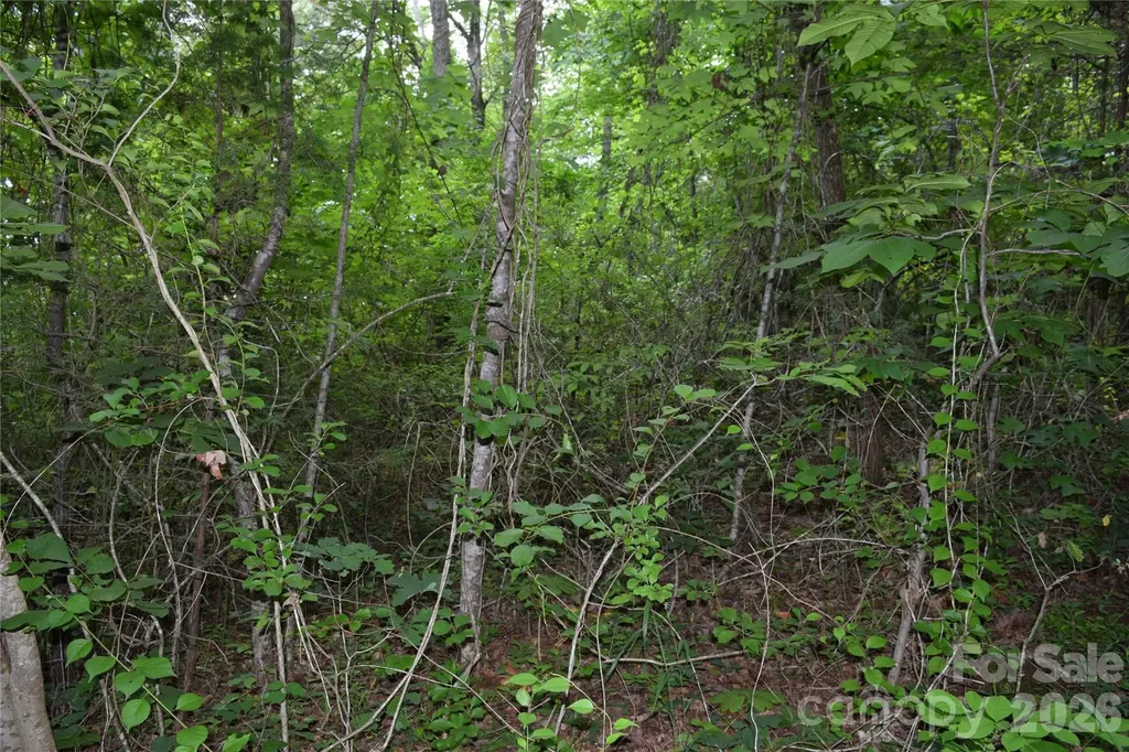 Tbd Bel Air Road Cullowhee NC 28723