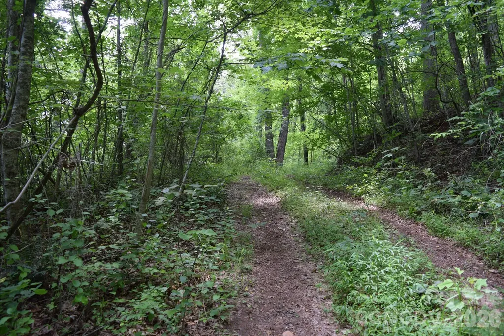 Tbd Bel Air Road Cullowhee NC 28723