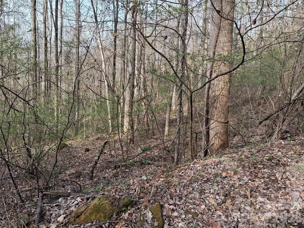Tbd Bel Air Road Cullowhee NC 28723
