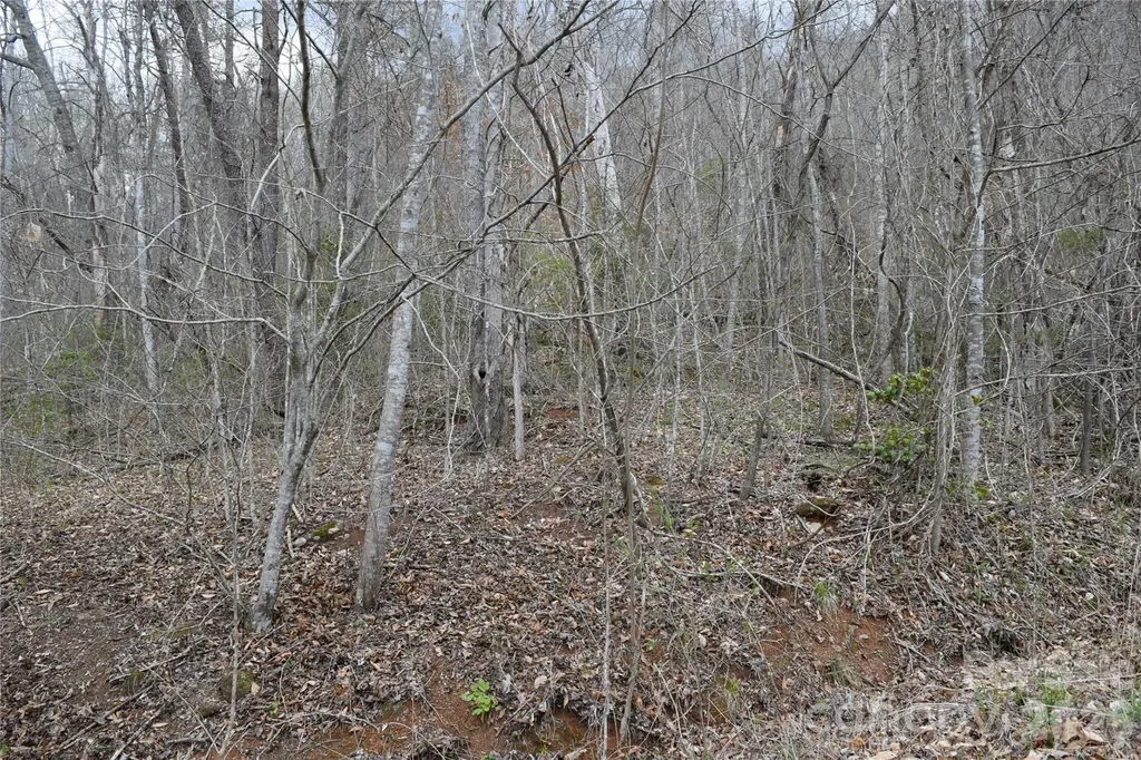 Tbd Bel Air Road Cullowhee NC 28723
