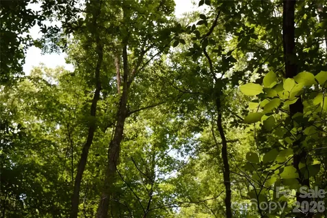 Tbd Bel Air Road Cullowhee NC 28723