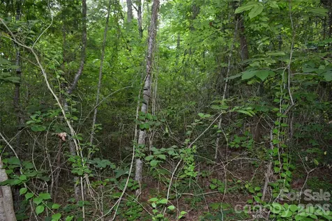 Tbd Bel Air Road Cullowhee NC 28723