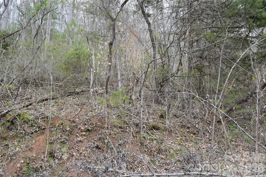 Tbd Bel Air Road Cullowhee NC 28723