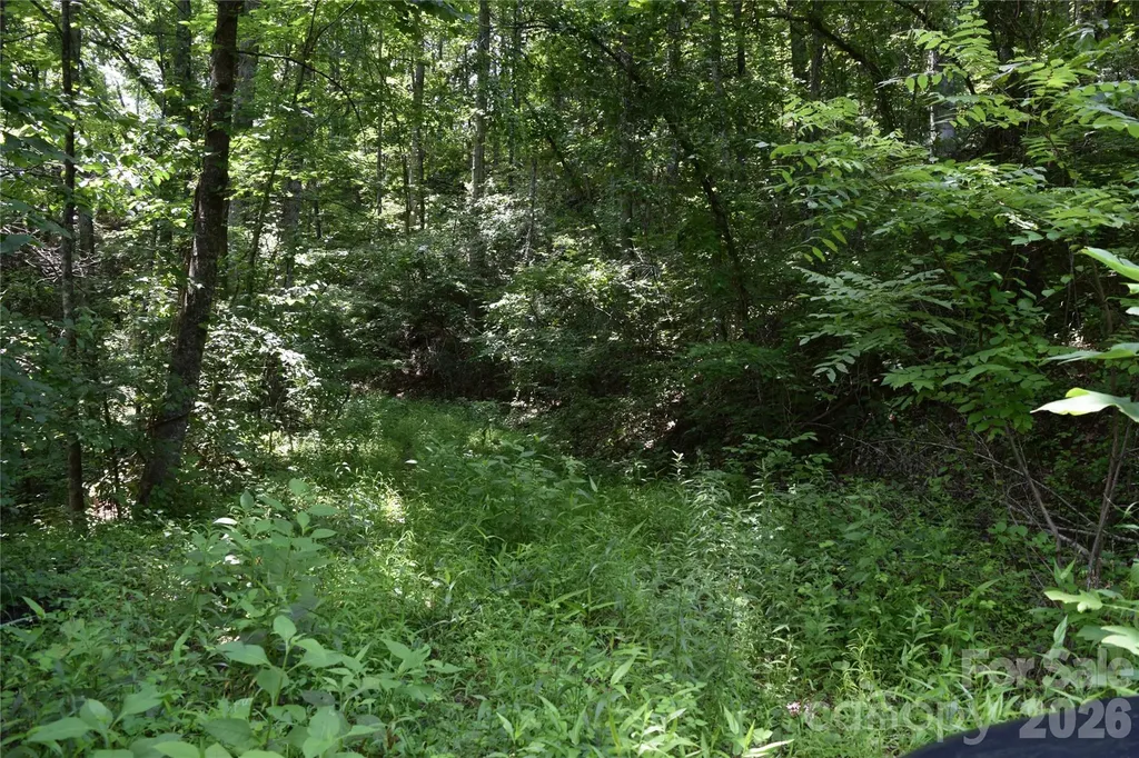 Tbd Bel Air Road Cullowhee NC 28723
