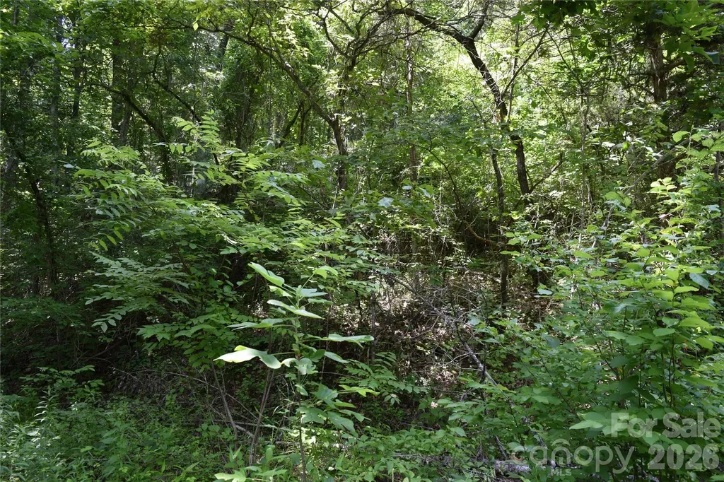 Tbd Bel Air Road Cullowhee NC 28723