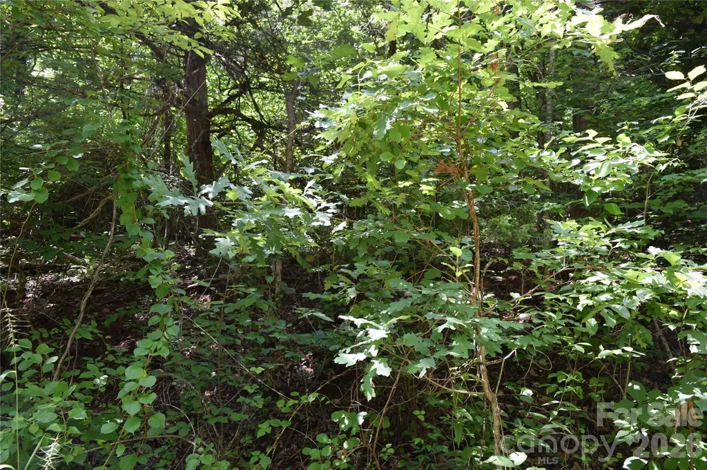 Tbd Bel Air Road Cullowhee NC 28723