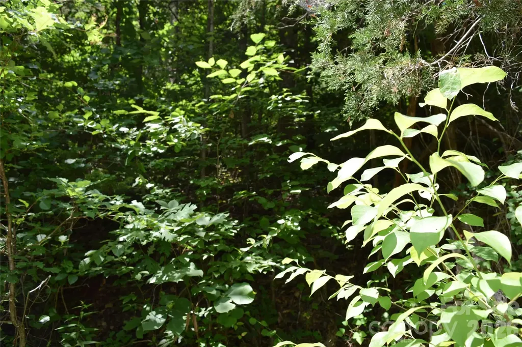 Tbd Bel Air Road Cullowhee NC 28723