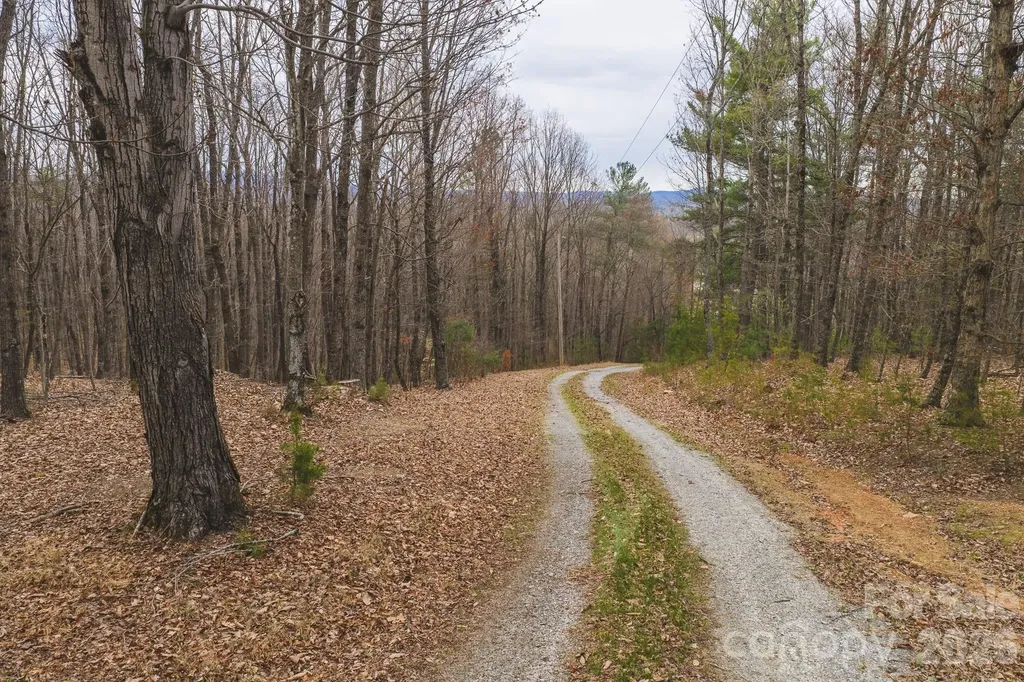 Tract 4 All Healing Springs Road Taylorsville NC 28681