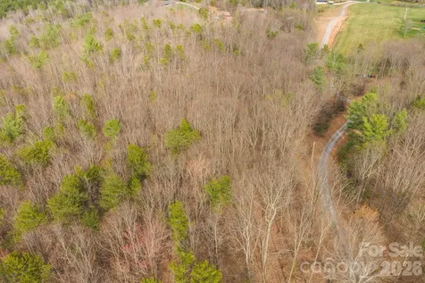 Tract 4 All Healing Springs Road Taylorsville NC 28681