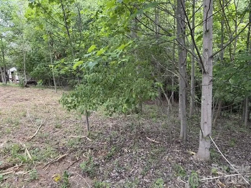 7557 Cowtail Lane Connelly Springs NC 28612