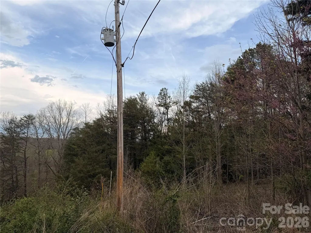 7557 Cowtail Lane Connelly Springs NC 28612