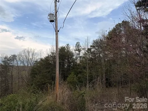 7557 Cowtail Lane Connelly Springs NC 28612