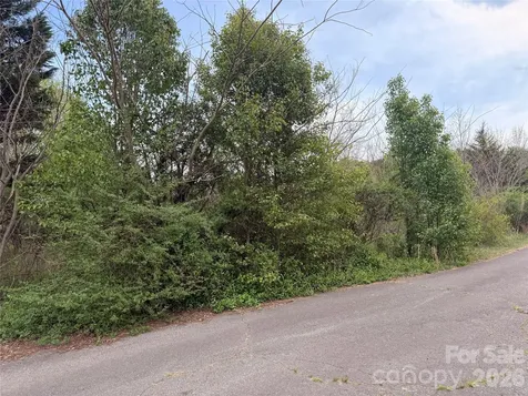 7557 Cowtail Lane Connelly Springs NC 28612