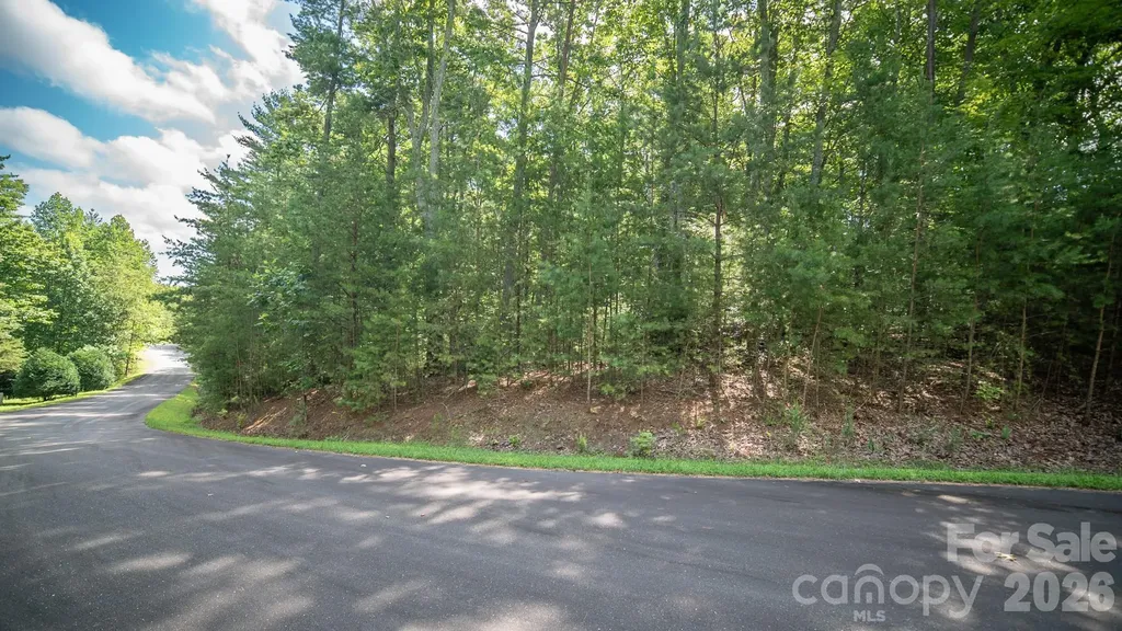 Lot 111 Trellis Drive Nebo NC 28761