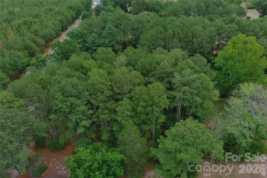 0 Mccaskill Drive Candor NC 27229
