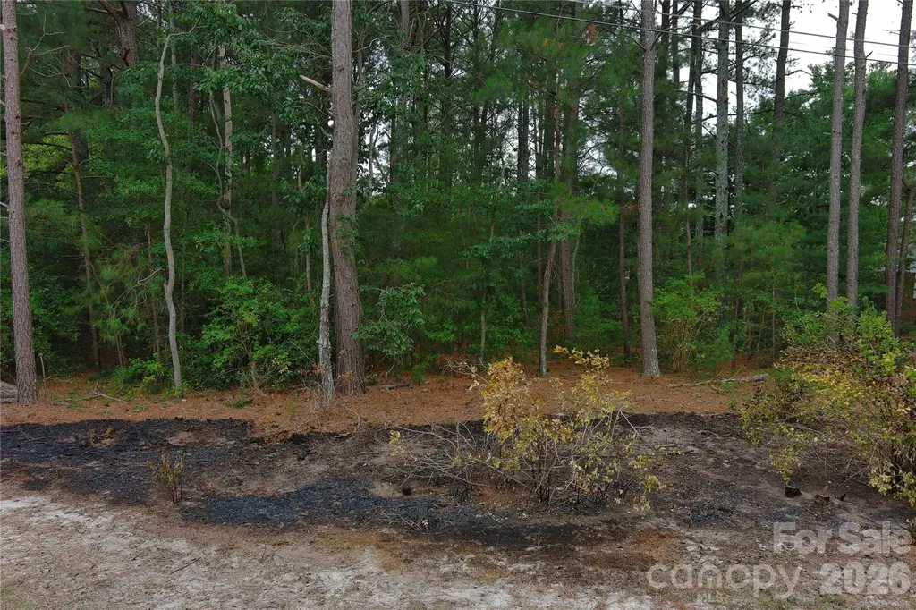 0 Mccaskill Drive Candor NC 27229