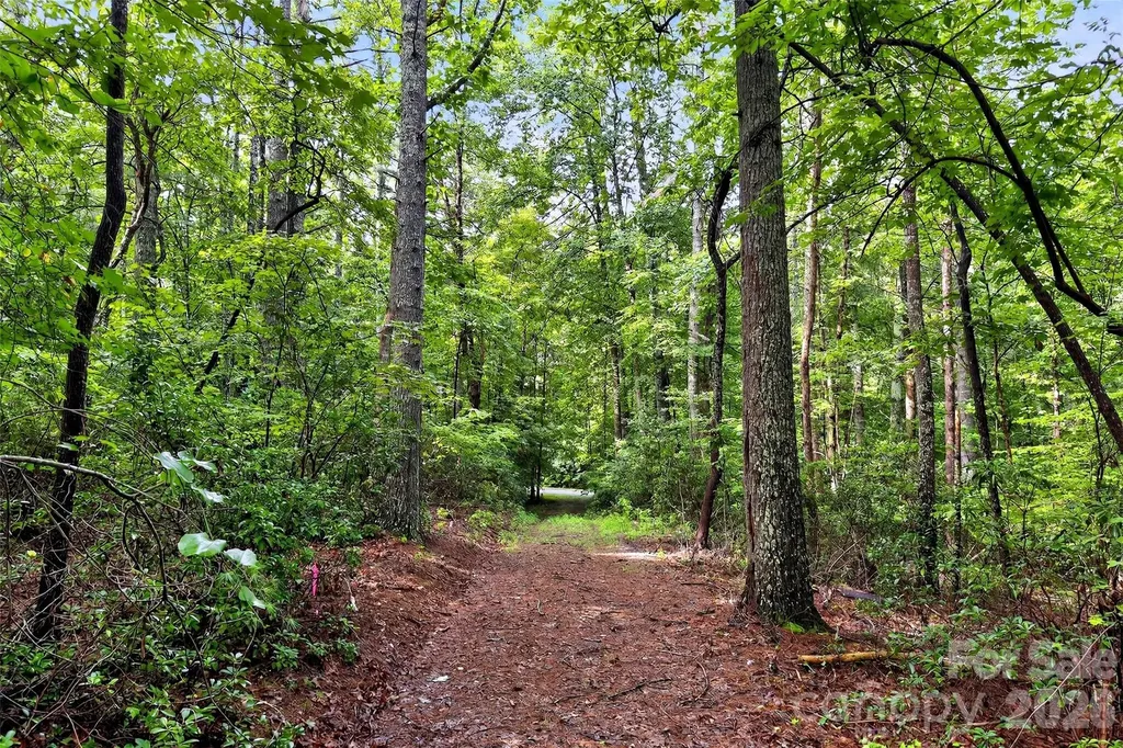 2361 Lake Forest Cove Nebo NC 28761
