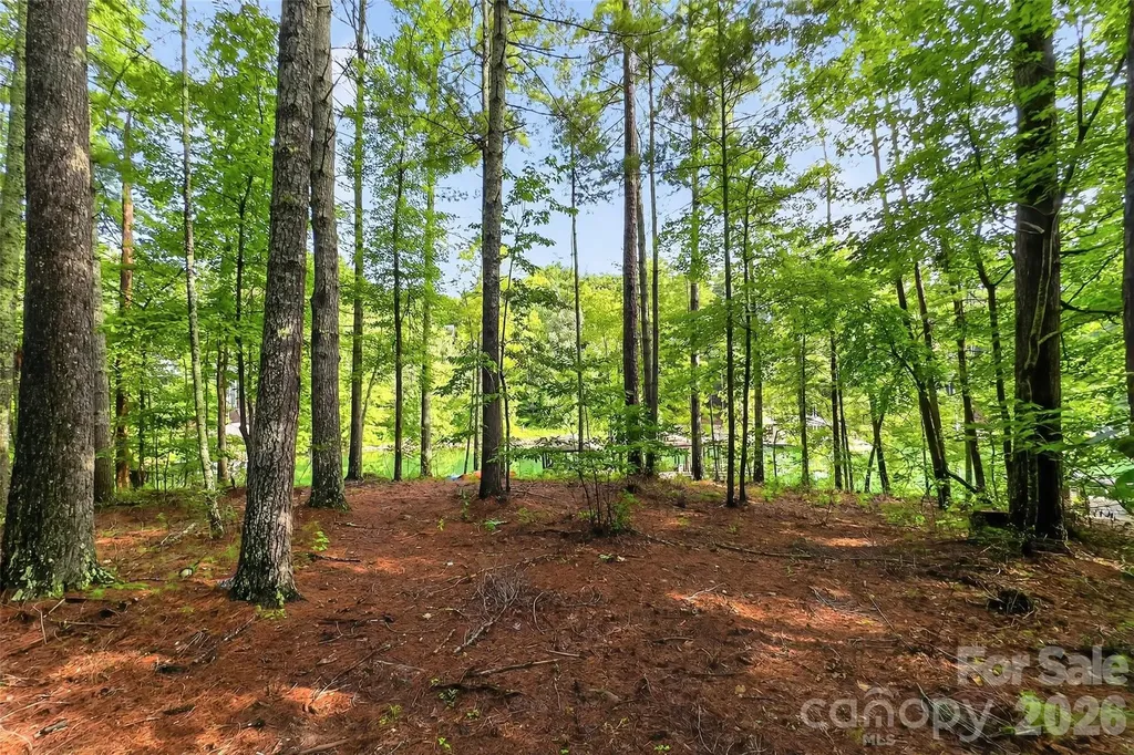 2361 Lake Forest Cove Nebo NC 28761