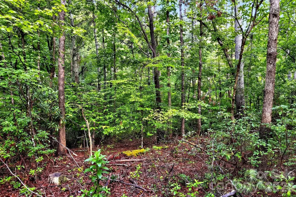 2361 Lake Forest Cove Nebo NC 28761
