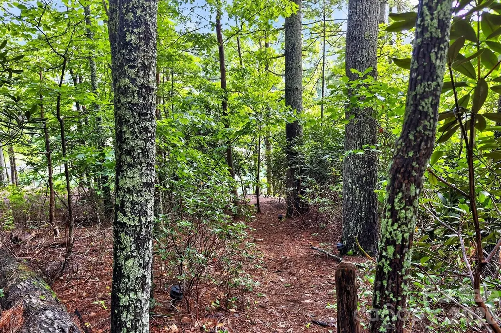 2361 Lake Forest Cove Nebo NC 28761