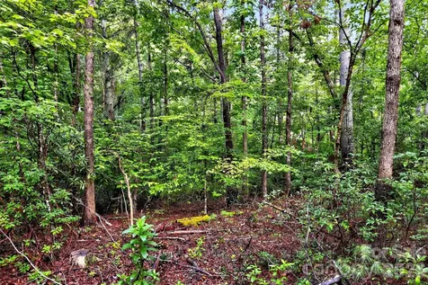 2361 Lake Forest Cove Nebo NC 28761