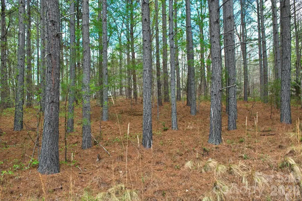0 Clearwater Parkway Rutherfordton NC 28139