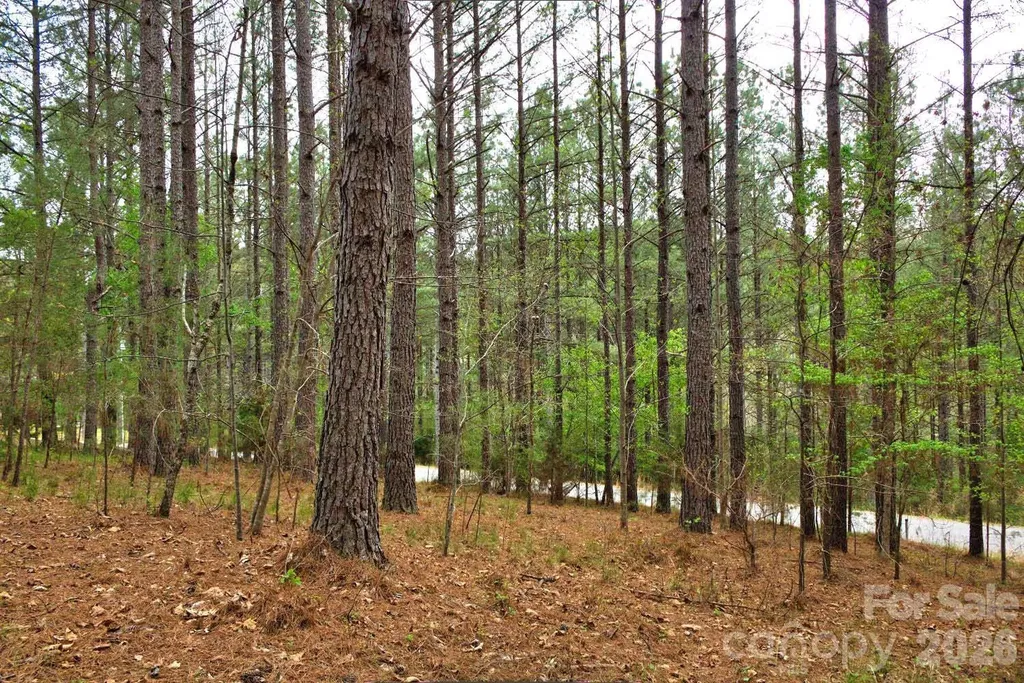 0 Clearwater Parkway Rutherfordton NC 28139